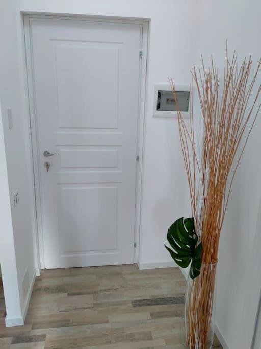 Suite Room Malpensa B&B Cardano Al Campo Exterior foto